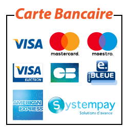 Carte-Bancaire.png